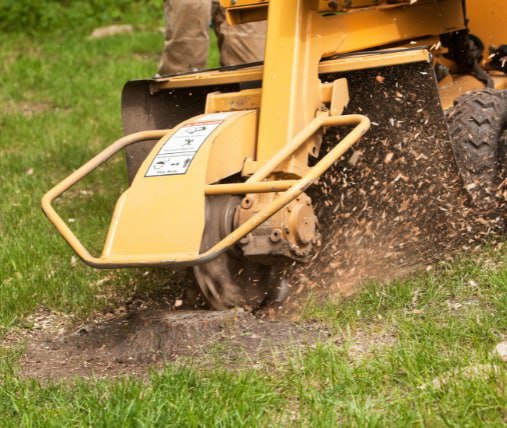 This is a photo of stump grinding being carried out in Stafford. All works are being undertaken by The Tree Surgeon Stafford